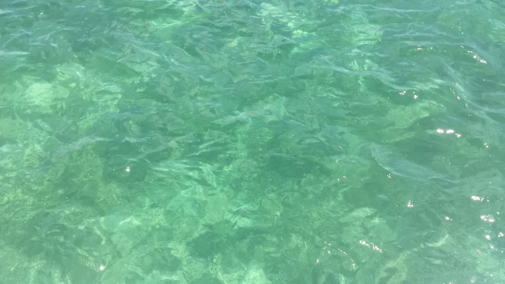 O mar de Punta Cana é realmente tão azul? Veja a verdade por trás da cor