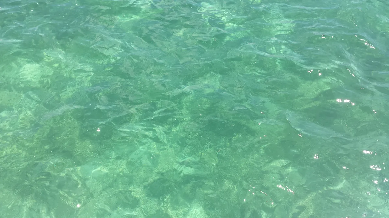 O mar de Punta Cana é realmente tão azul? Veja a verdade por trás da cor