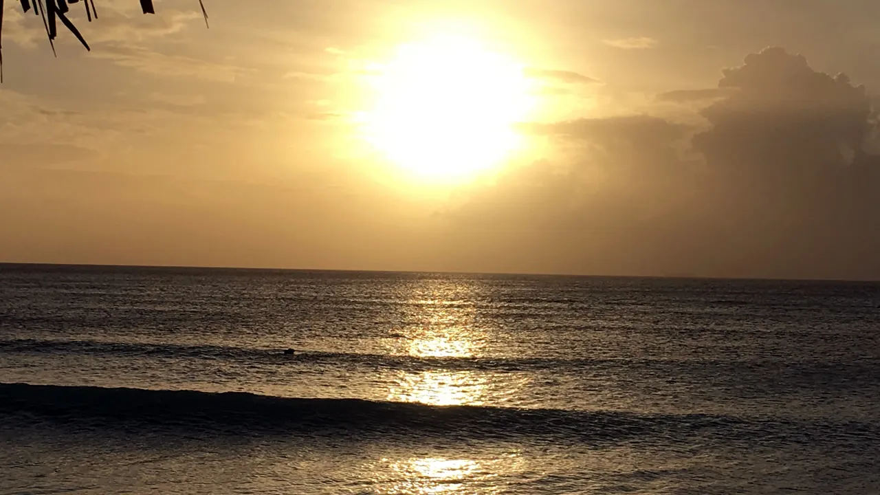Como é a praia Arashi Beach em Aruba? Vale mesmo a pena conhecer?