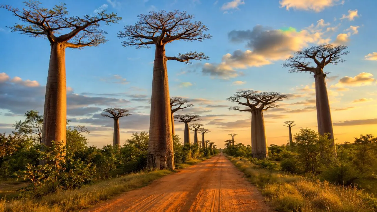 Madagascar