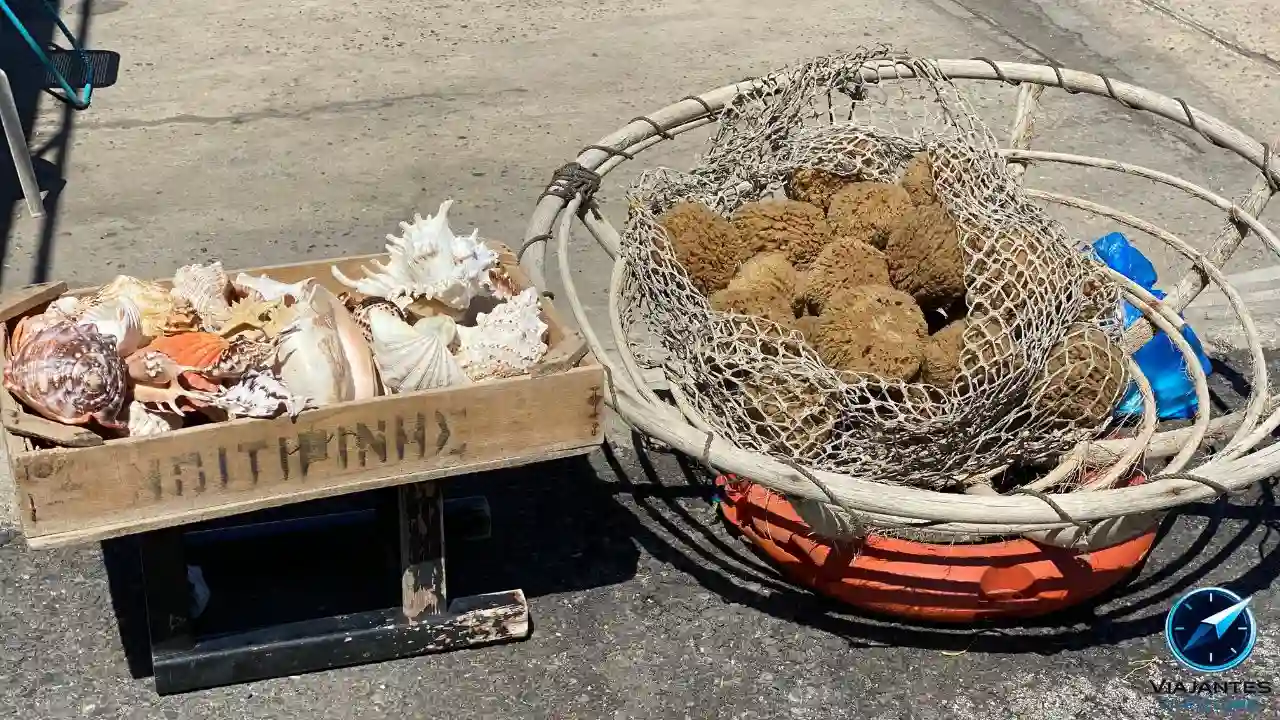 A esponja que quase desapareceu do mar Egeu, e ainda é vendida do jeito antigo nos portos gregos