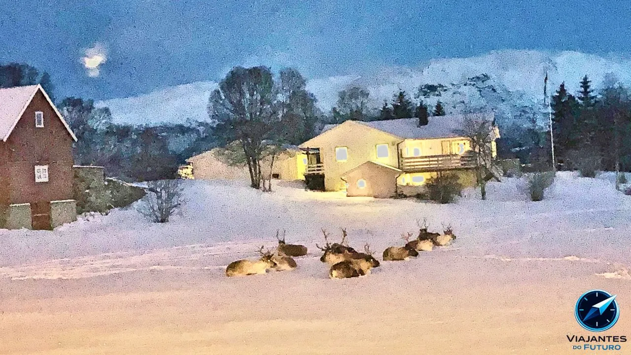 Tromsø ou Rovaniemi? Qual escolher e qual sai mais em conta?